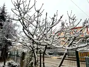 Eskişehir'de Beklenmedik Kar Yağışı!
