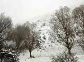 Kış Eskişehir'i Sardı: Beyaz Bir Manzara