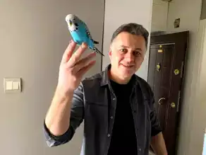 Eskişehir'de Kayıp Muhabbet Kuşu