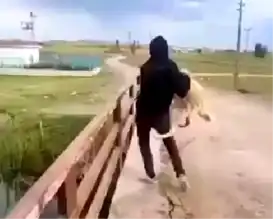 Eskişehir'de Sokak Köpeğine Zulüm: 2 Kişi Adalete Teslim Edildi