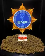 Eskişehir'de 5 Kilo Skunk Ele Geçirildi, 1 Tutuklama