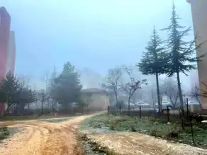 Eskişehir'de Yoğun Sis: Görüş Mesafesi 100 Metreye Düştü!