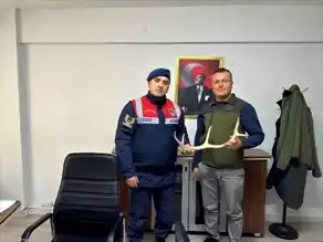 Eskişehir'de Geyik Boynuzu Satışı Baskını!