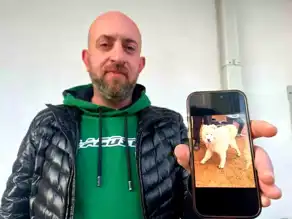 50 Bin TL'lik Ödül Köpeği Bulmak İçin Yeterli Değil