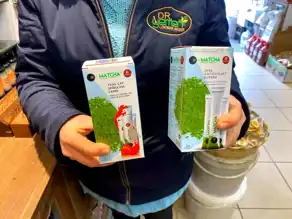 Matcha Çayının Yükselen Popülaritesi