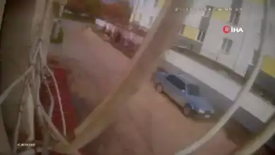 Eskişehir'de Sokak Köpekleri Saldırısı: Vatandaş Ceketiyle Kurtuldu