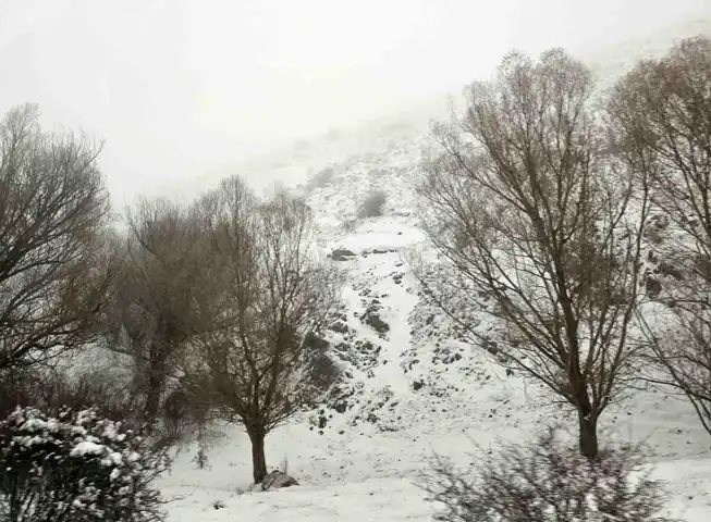 Kış Eskişehir'i Sardı: Beyaz Bir Manzara