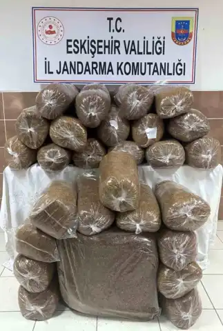 200 Kg Kaçak Tütün Elde Edildi!
